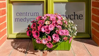 Psyche - poradnia psychiatryczno-psychologiczna